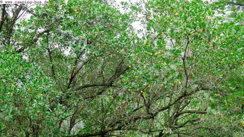 Wohnmobil Extremadura Sierra de Francia El Chorrerón Río Erjas